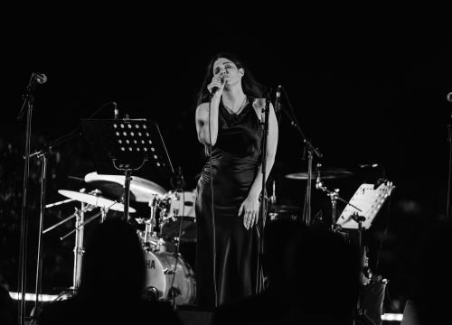 Fotografija 12 - Ladies night na Tvrđavi Barone: Emotivna glazbena večer u čast Gabi Novak i Matije Dedića