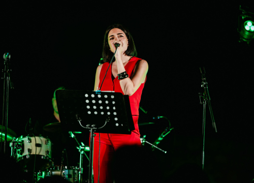 Fotografija 17 - Ladies night na Tvrđavi Barone: Emotivna glazbena večer u čast Gabi Novak i Matije Dedića