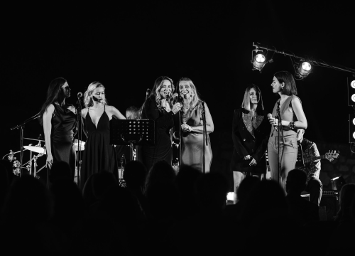 Fotografija 21 - Ladies night na Tvrđavi Barone: Emotivna glazbena večer u čast Gabi Novak i Matije Dedića