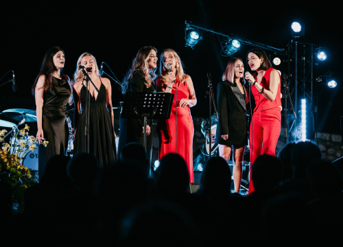 Ladies night na Tvrđavi Barone: Emotivna glazbena večer u čast Gabi Novak i Matije Dedića