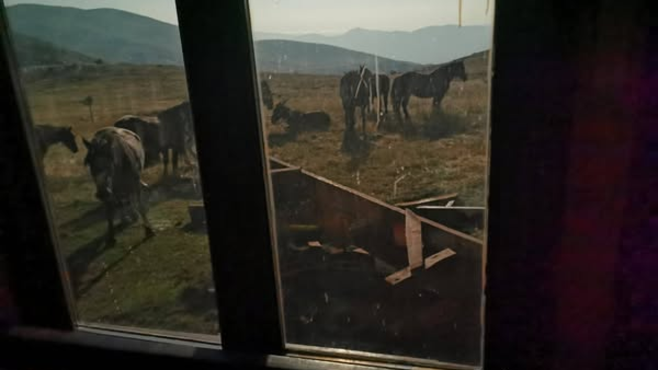 Zagrebačke planinare cijelu noć napadali divlji konji u planinarskom skloništu Rupe na Dinari