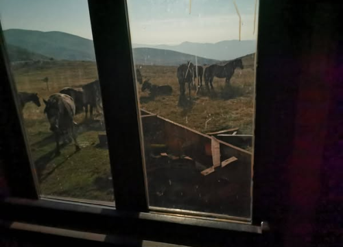 Zagrebačke planinare cijelu noć napadali divlji konji u planinarskom skloništu Rupe na Dinari