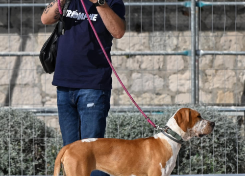 Fotografija 20 - Đir po gradu, ponedjeljak 8. rujna