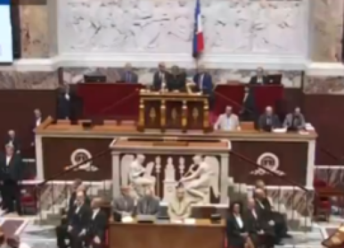 Pala francuska vlada