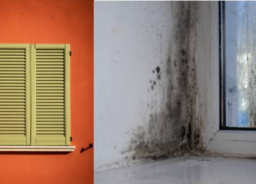 Sezona je završila: Izbjegnite vlagu u zatvorenim prostorima kad gosti odu