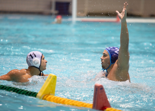 Solaris Eurokup otvara s Dinamom iz Tbilisija: 'Izvukli pouke od Mornara, večeras ćemo pokazati pravo lice'