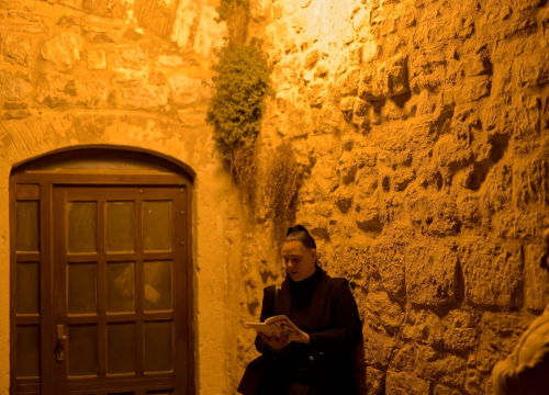 Fotografija 2 - 'Odrasli čitaju naglas': Održana šetnja Šibenikom uz prozu i poeziju