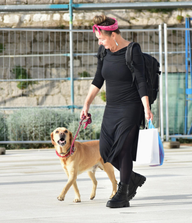 Đir po gradu, srijeda 22. listopada