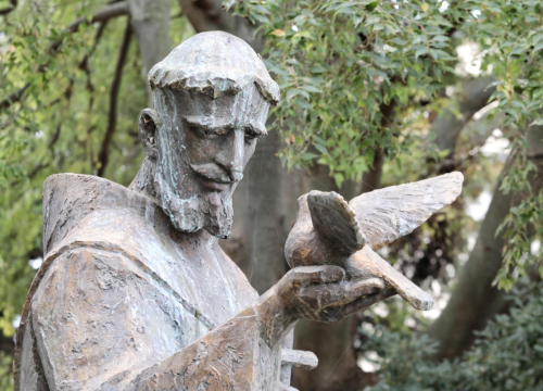 Fotografija 41 - Đir po gradu, subota 25. listopada