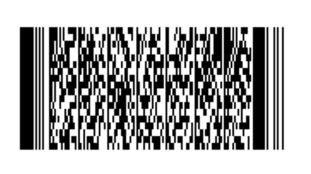 Spašeni psić s Promine traži svoj zauvijek dom, a Šibenske šape pomoć za pokrivanje veterinarskih toškova