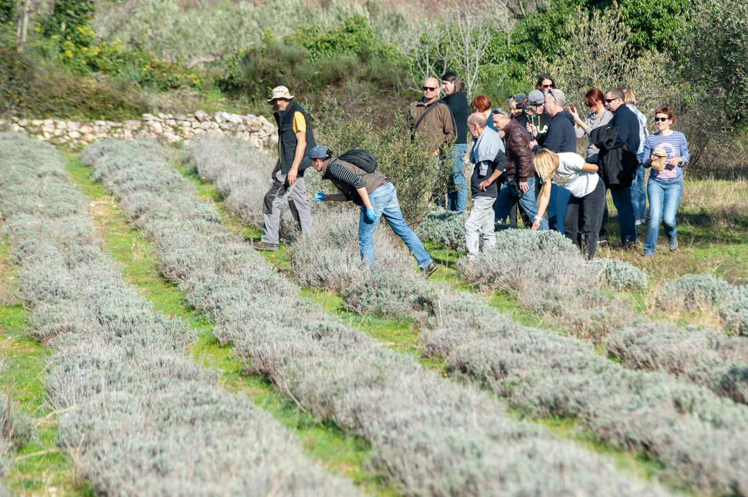 Završen projekt 'Putokaz do boljeg sutra'