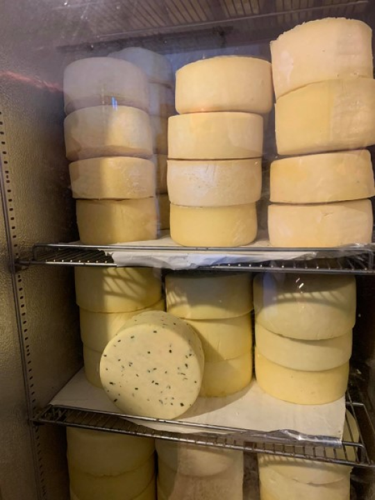 Pauk posjetio uspješne poljoprivrednike drniškog kraja: 'Od mljekarstva se nitko nije obogatio, pa neću ni ja'