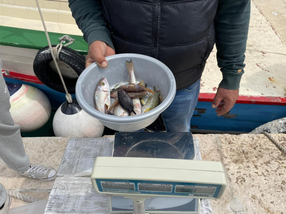 Na kamenju Velikog porta održano natjecanje u ribolovu 'Čap s obale 2021.'