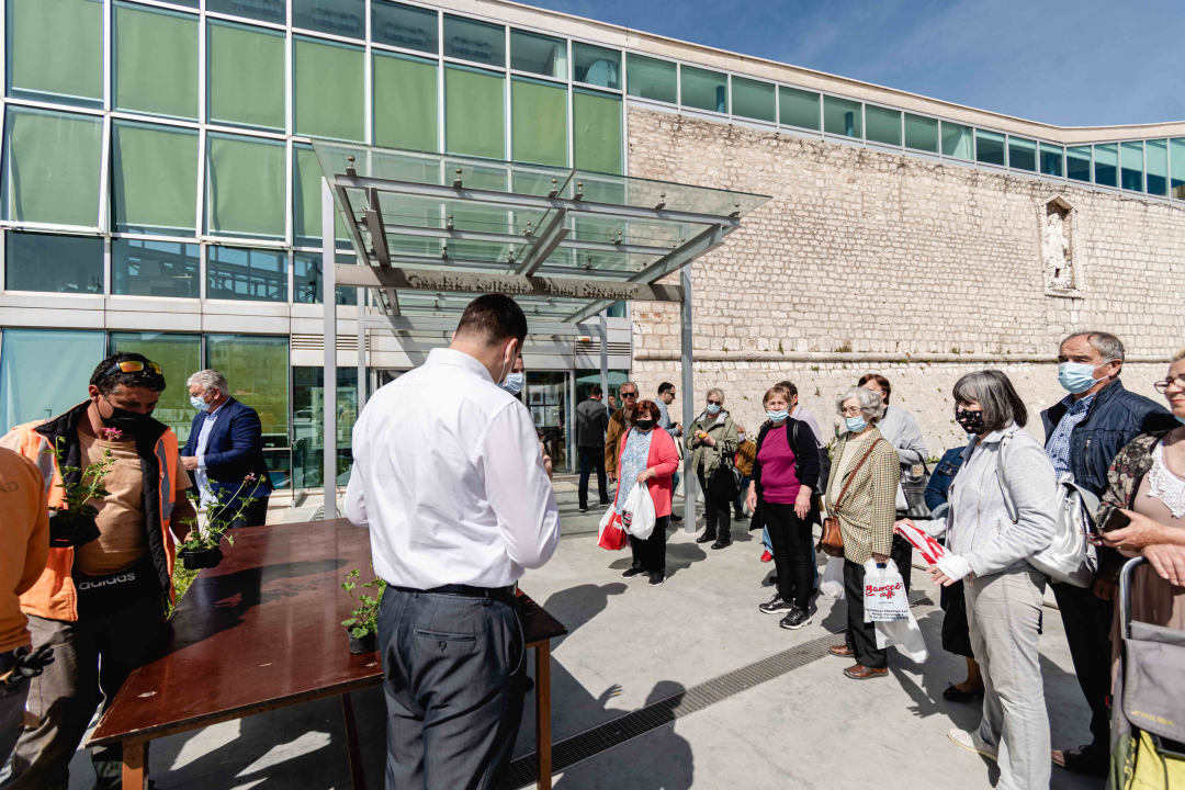 Umirovljenički stampedo za sadnice đirana na Poljani: ‘Gužva je veća za cvijeće nego za cijepljenje’