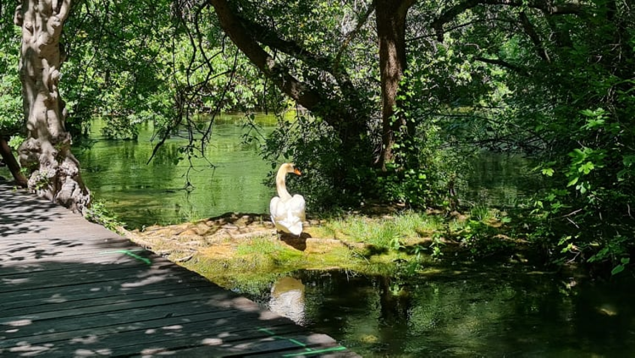 Proveli smo Majčin dan na Skradinskom buku uz ljepote Majke prirode