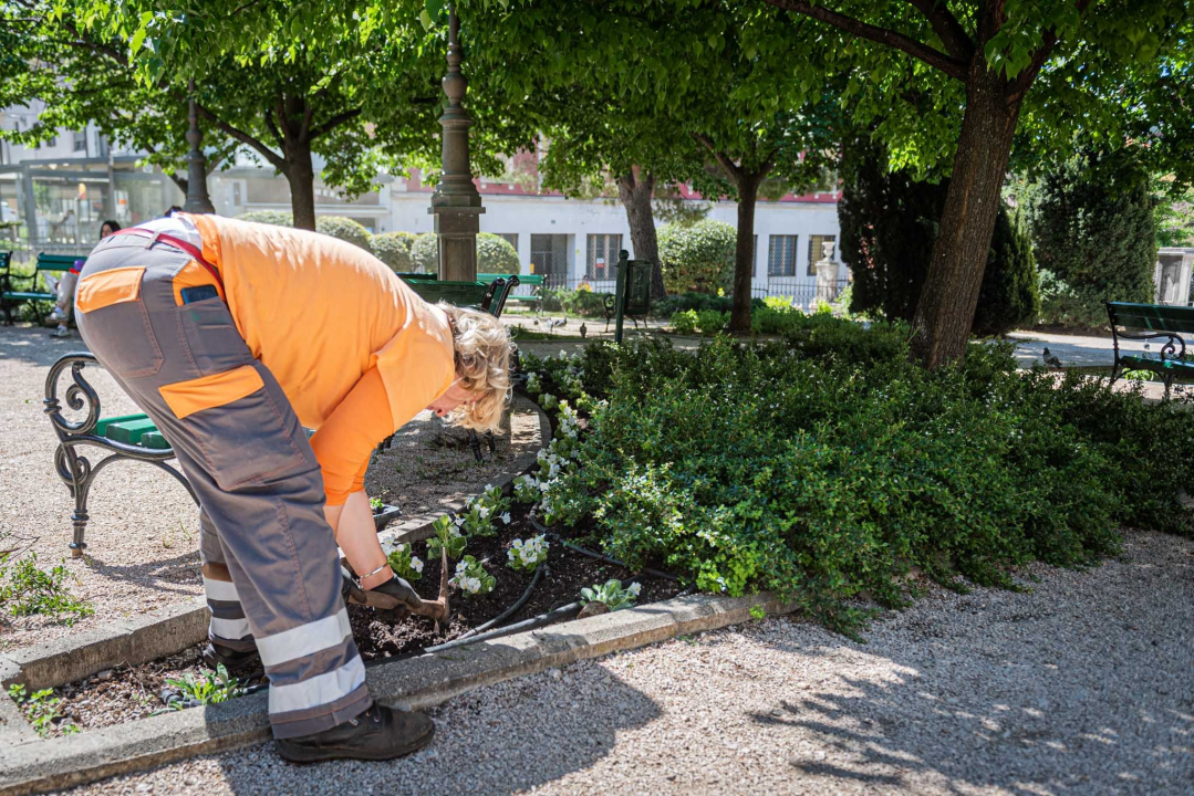 U šibenskom 'dnevnom boravku' sadi se cvijeće i uređuje okoliš: Perivoj Roberta Visianija dočekat će ljeto u punom sjaju 