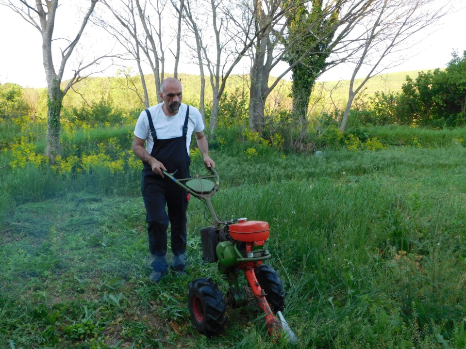 Tko je zapravo Marko Jelić? Obiteljski čovjek, znanstvenik, vinogradar i zaljubljenik u svoj kraj…