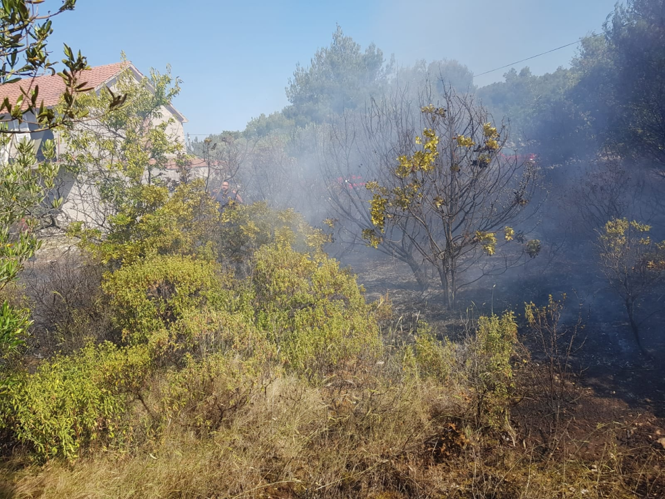 Spaljivanje travi u Brodarici otelo se kontroli: Vatra ipak nije stigla do kuća i borove šume