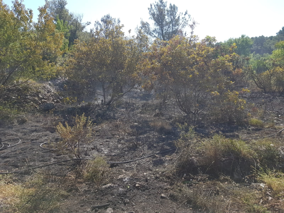 Spaljivanje travi u Brodarici otelo se kontroli: Vatra ipak nije stigla do kuća i borove šume