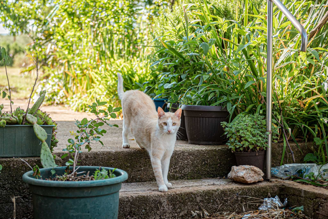 Reportaža iz epicentra: 'Doživio sam i dosad potrese, ali nikad ovako jak. Ne možeš na ovo biti spreman' 