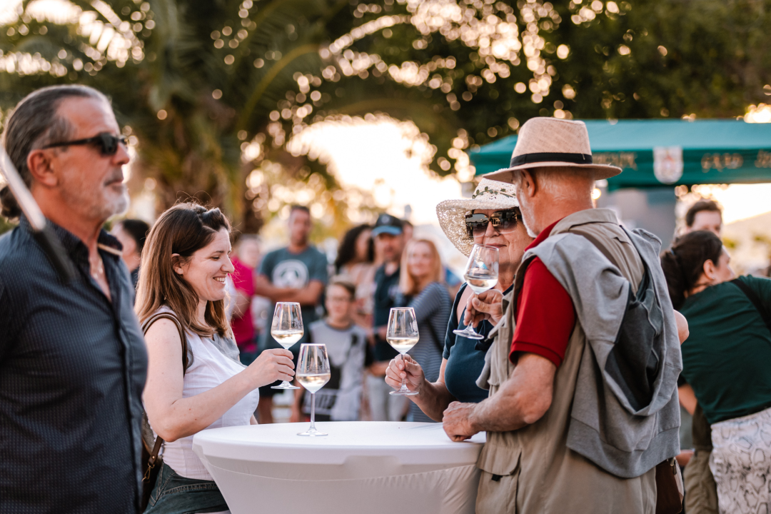 ‘Ako su sinonim Burgundije Chablis i kamenice, zašto sinonim Šibenika ne mogu postati Debit i pidoće’