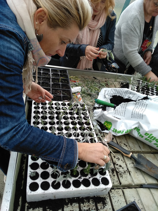 U tijeku je program obrazovanja odraslih u organizaciji Udruge EMEDEA: Pogledajte što su polaznici do sada naučili!