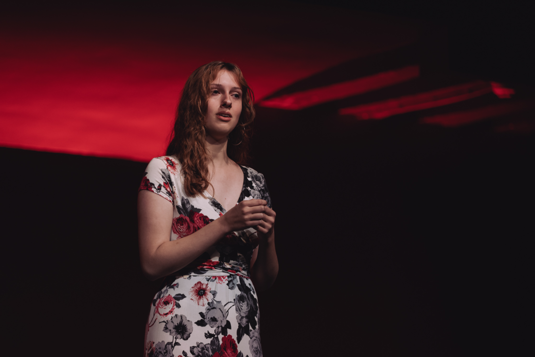 Arsen i Lukačić se vole, dokazali su to nagrađivani učenici i maturanti šibenske glazbene škole odličnim koncertima