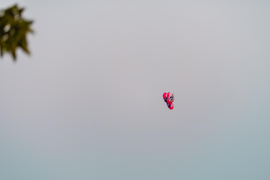 Na Baroneu Šibenčanima premijerno prikazan film ‘Slučajna raskoš prozirnog vodenog rebusa’