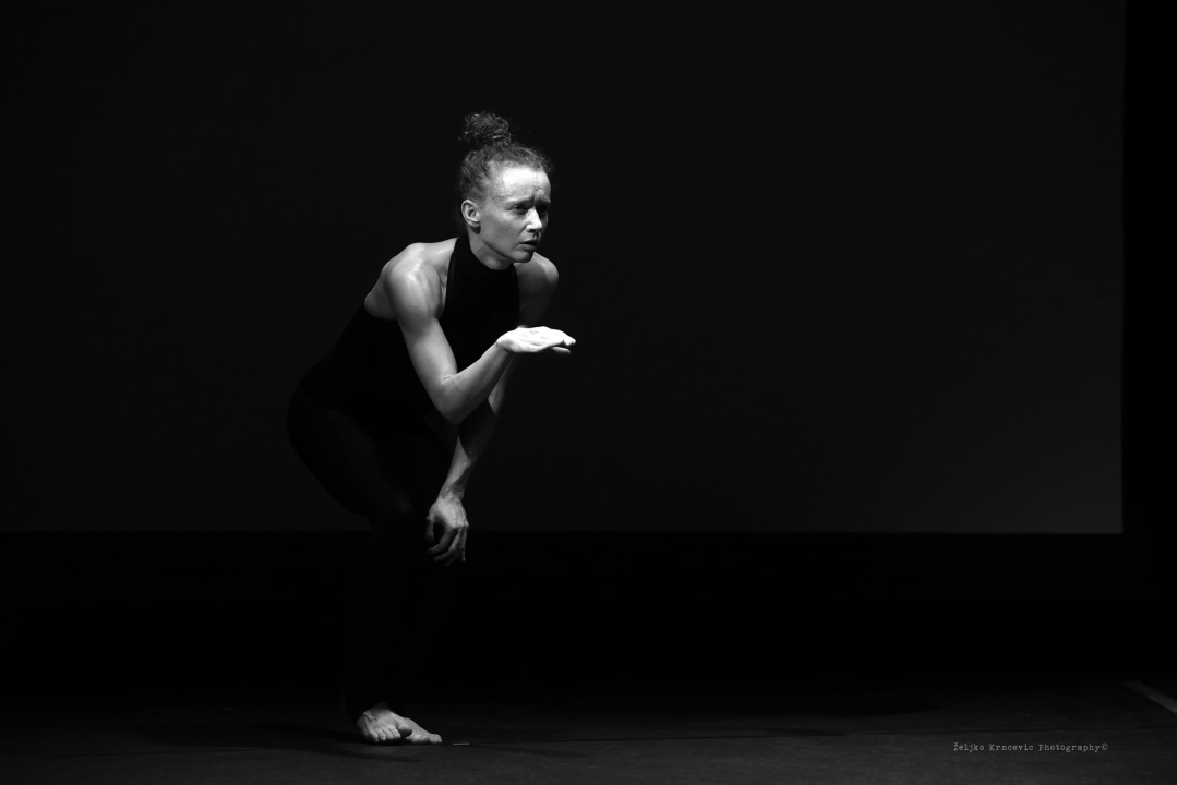 Srpske i mađarske plesačke zvijezde oduševile publiku u Kući umjetnosti Arsen