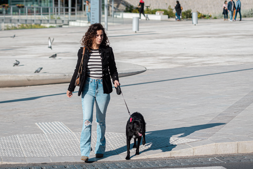 FOTO Đir po gradu, srijeda 13. listopada