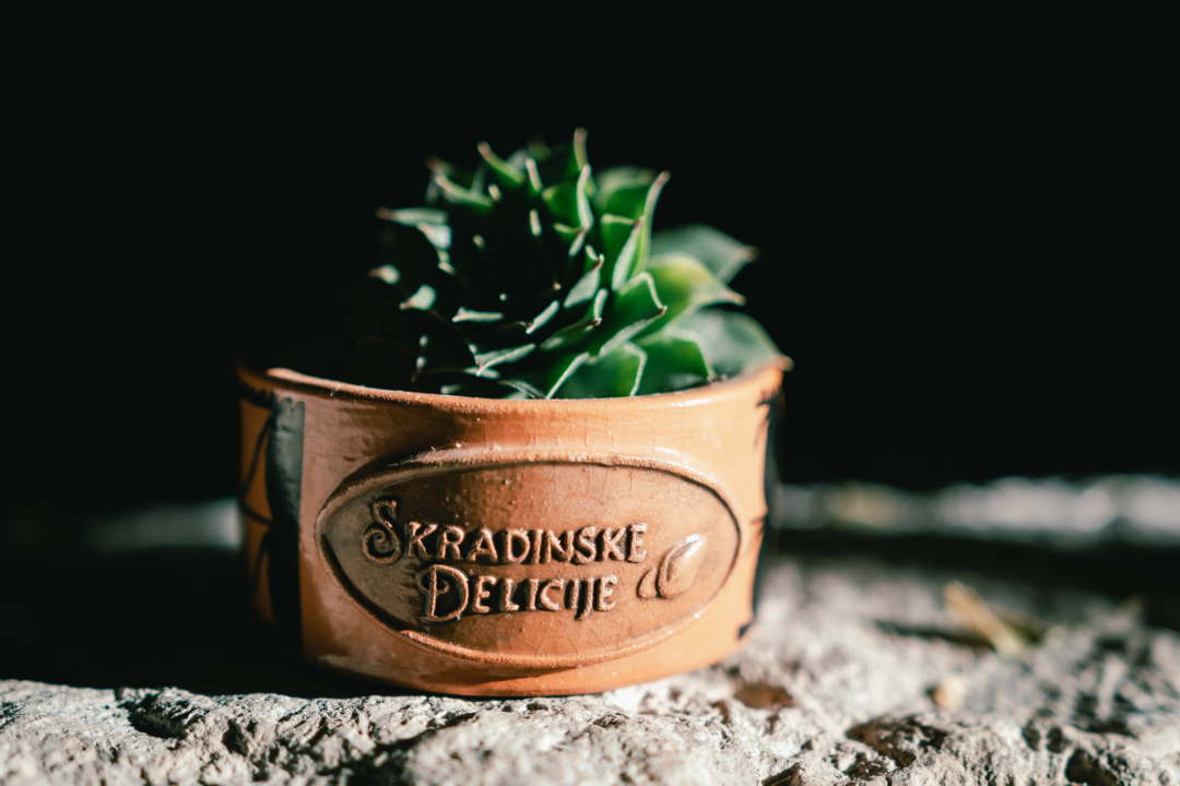 Katarina Paić: 'Iako je moja večera ocijenjena najlošijom, sve je ispalo super. Ne stajem raditi skradinske torte'