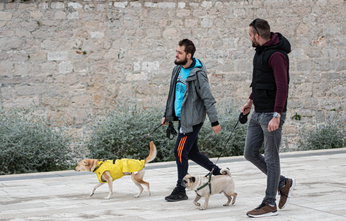 FOTO Đir po gradu, ponedjeljak 1. studenog