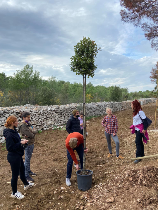 Šibenski volonteri s kolegama iz Europe zasadili mlada stabla u uvali Minerska u kanalu