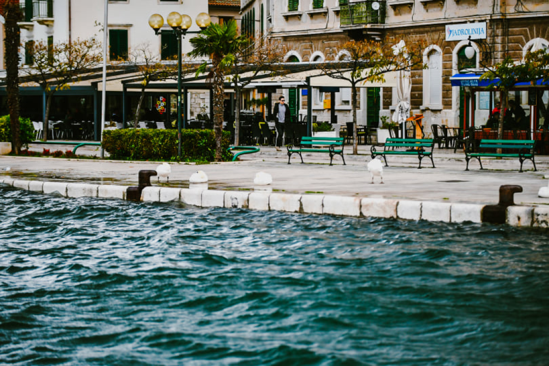 Jako jugo smeta svima: Labudovi se prebacili na rivu, nema odmora na uzburkanom moru 