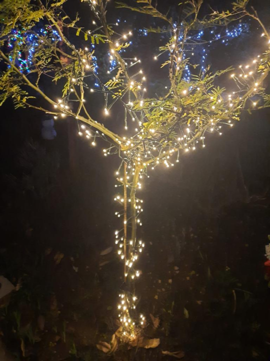 Krenula je božićna bajka: 20 tisuća lampica obasjalo je vrt obitelji Vlahov 