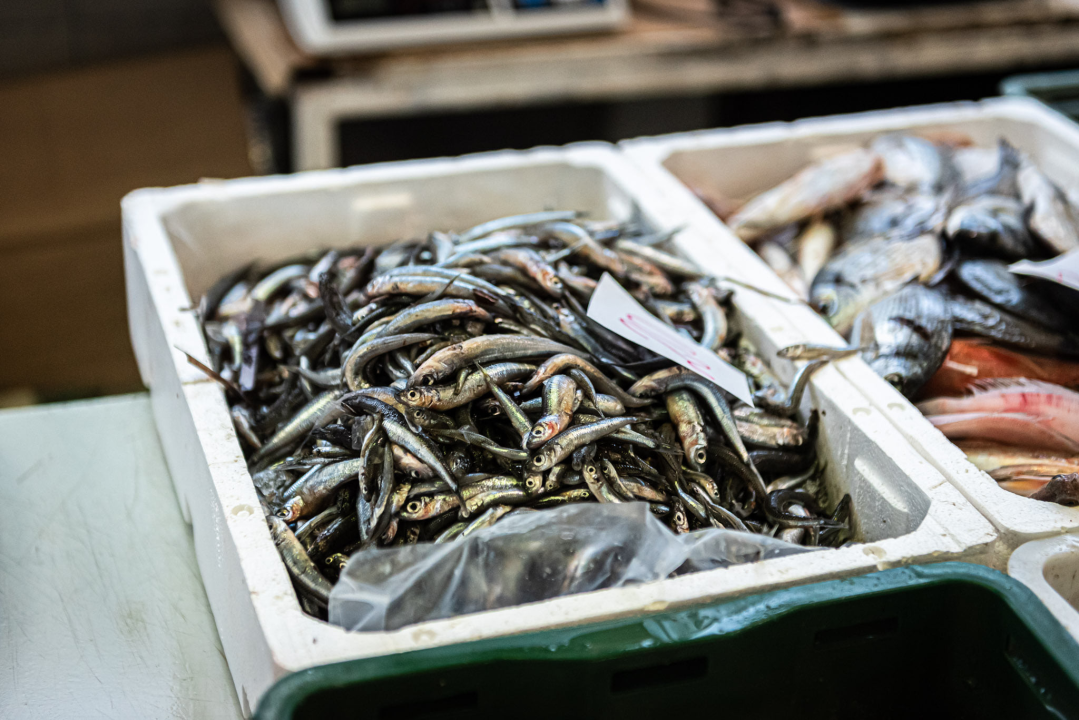 Na Badnji dan i nije neka ponuda na peškariji, Šibenčani su se za ove blagane izgleda pripremili ranije 