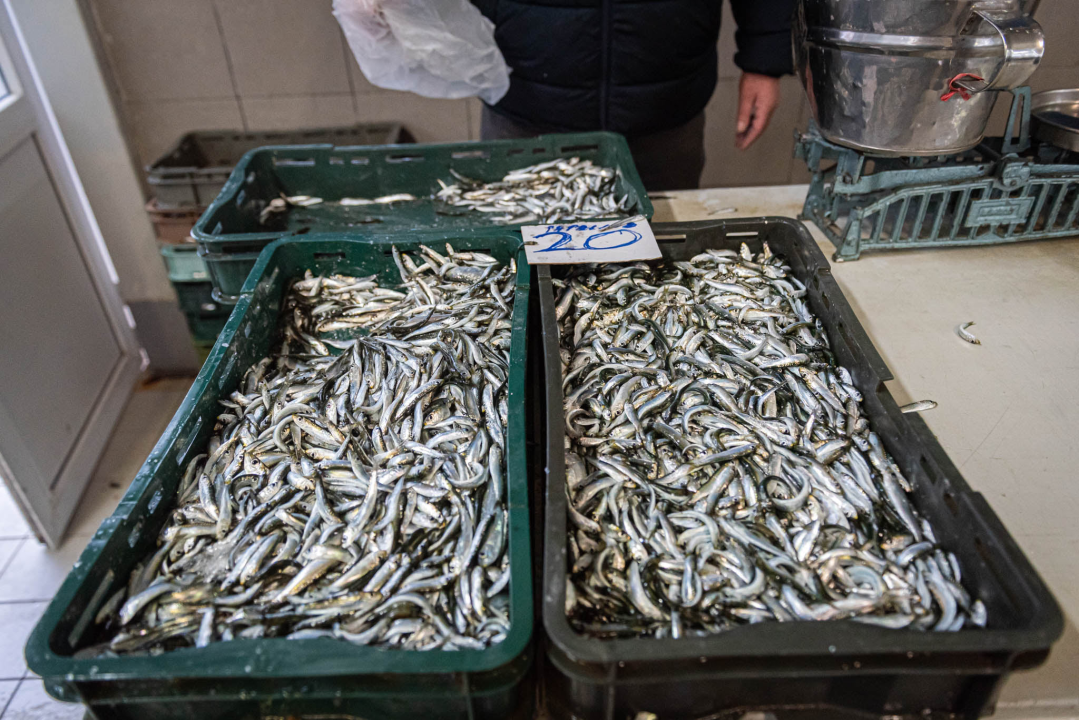 Na Badnji dan i nije neka ponuda na peškariji, Šibenčani su se za ove blagane izgleda pripremili ranije 