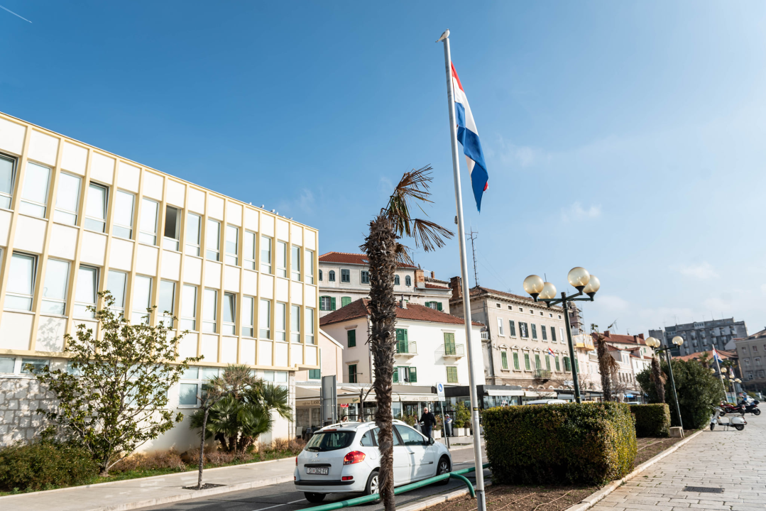 Zeznuti azijski kukac presudio palmama na šibenskoj rivi: Nakon što se postavi nova rasvjeta, stiže dvadesetak novih stabala