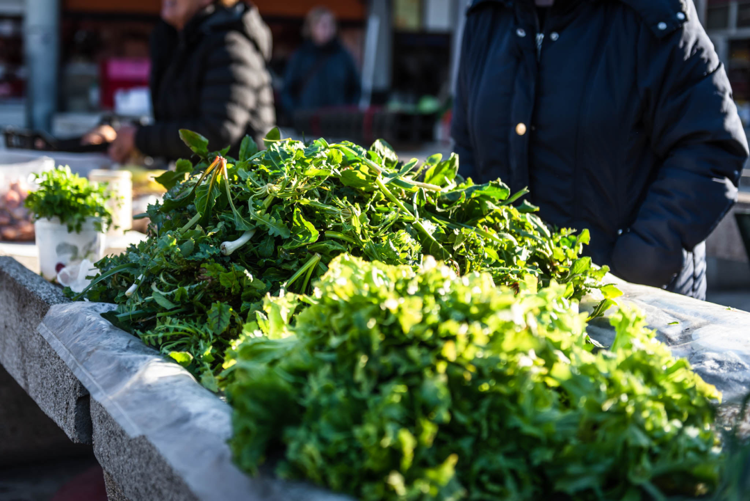 Fotogenična ponuda na šibenskoj peškariji: Grmalj, kokoti i nekoliko kolateralnih žrtava