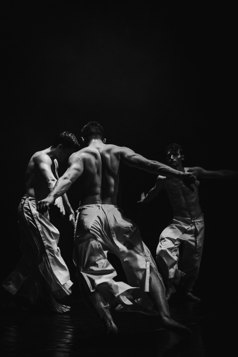 'Boys Boys Boys' sinoć u Arsenu: Šibenčanke uživale u ekspresivnom muškom plesu 