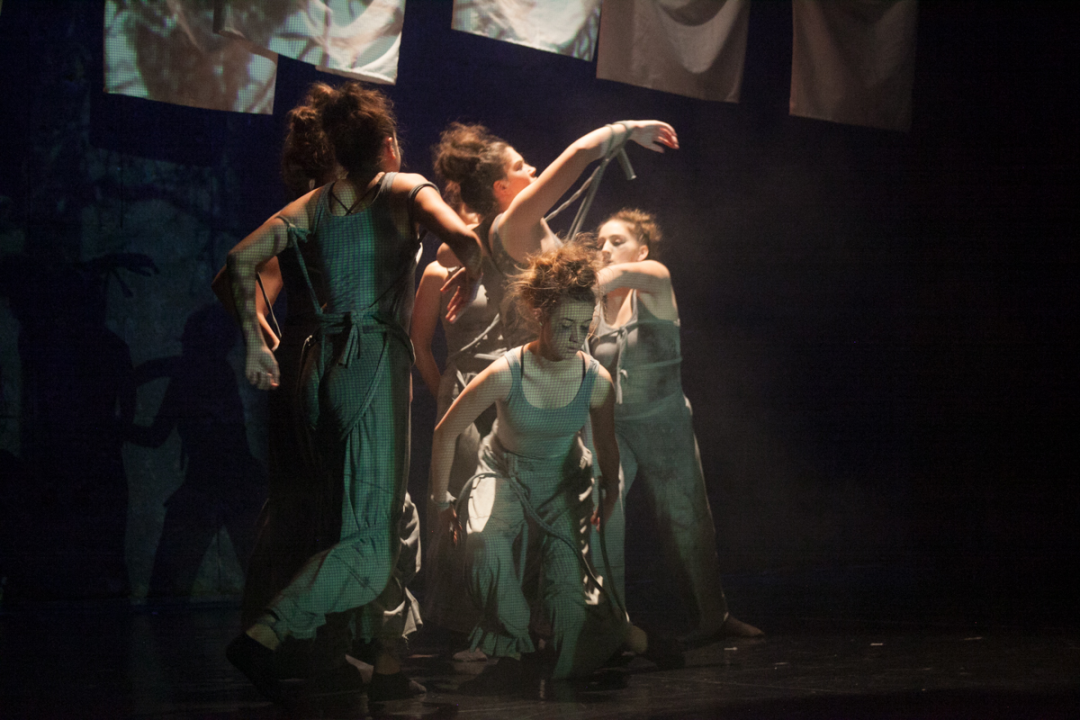 Travanj u znaku plesa: Sjene organiziraju radionice, predstave… Evo programa  