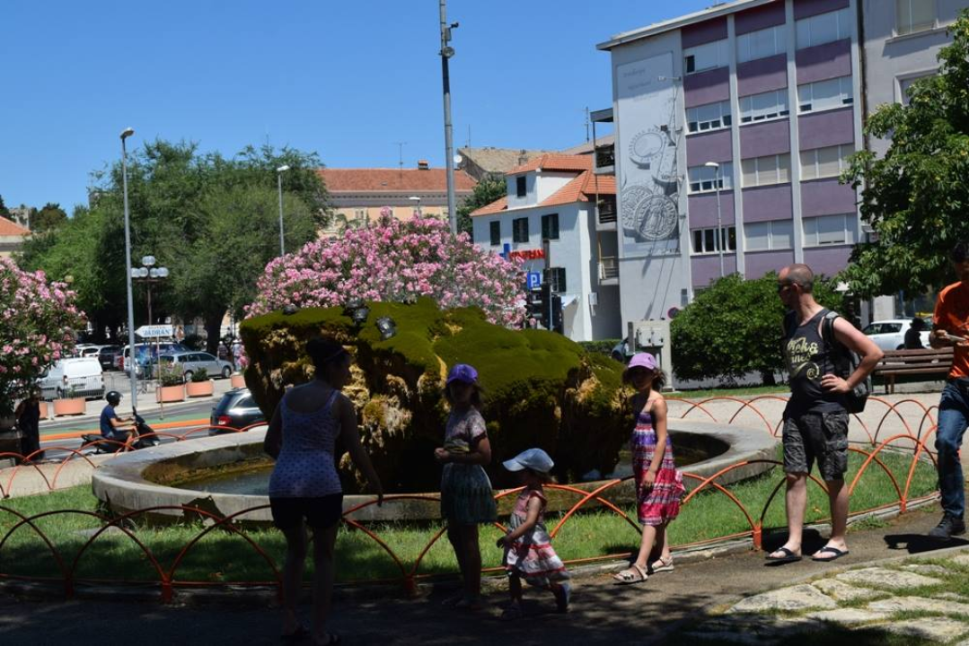 Kako je sedra narasla više od tri metra: Fotografije posljednjih šest godina pokazuju zašto joj treba spas