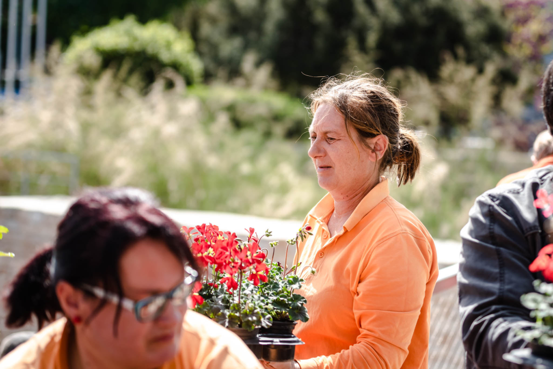 Preko 2000 cvjetnih sadnica podijeljeno na Poljani dok si rekao 'điran' 