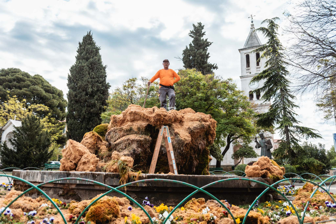 Uklonjen dio sedre kojemu je prijetilo urušavanje: Opet će zazeleniti, a kornjače dobivaju sunčalište