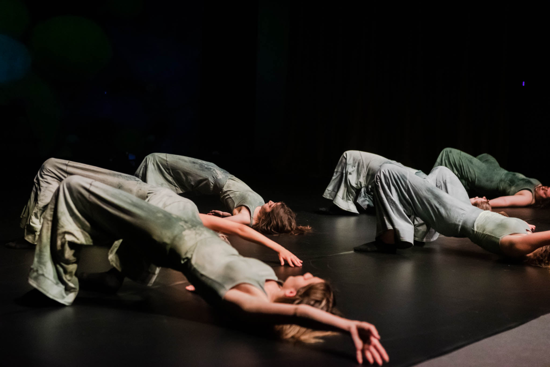 ‘Sjene‘ ponovo izvele predstavu 'Madness' prema knjizi Šibenčanina Dina Seksa  