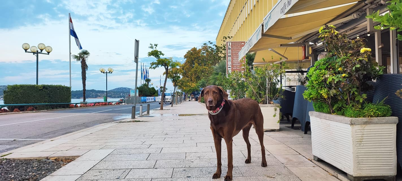 Kristina je 365 dana fotografirala Šibenik: 'Sve je krenulo iz šale, ali i iz inata kad su mi rekli da neću moći'