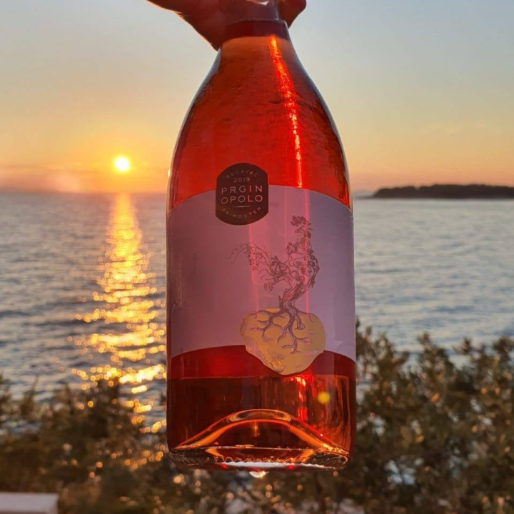 Iskoristite priliku za besplatan prijevoz mini busom u petak na Danima otvorenih kušaonica!