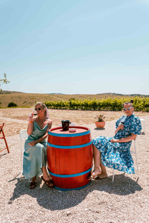 Iskoristite priliku za besplatan prijevoz mini busom u petak na Danima otvorenih kušaonica!