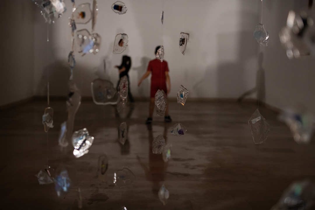 'Herbarij' Nikoline Šimunović u galeriji Kninskog muzeja: 'Sve me vodi k sebi'