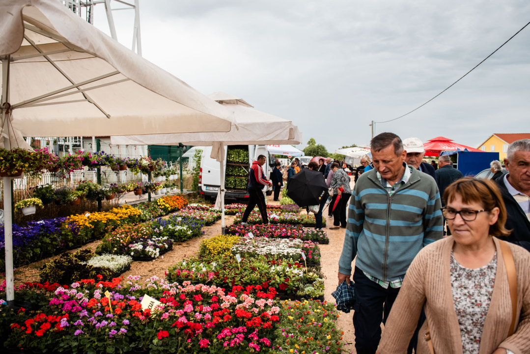 Bili smo na Benkovačkom sajmu: Najtraženija 'roba' su CD-evi Thompsona i Bulića, a za prasetinu se čeka red
